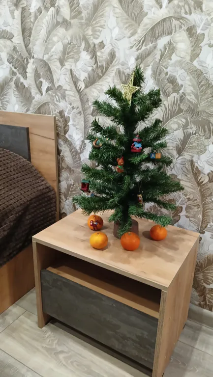 Квартира в центре — аренда посуточно в Ногинск