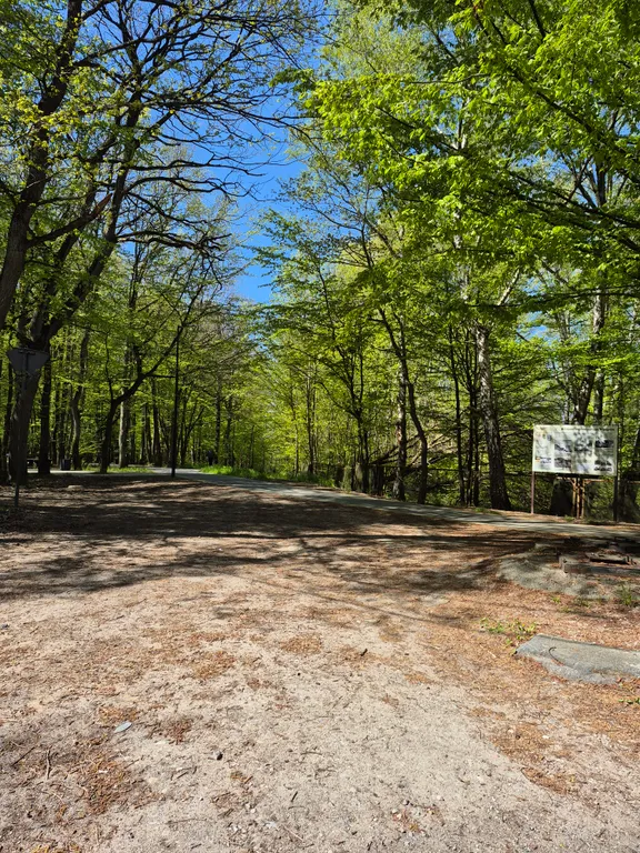 Квартира Новые апартаменты на берегу Балтийского моря в сосновом лесу — Светлогорск