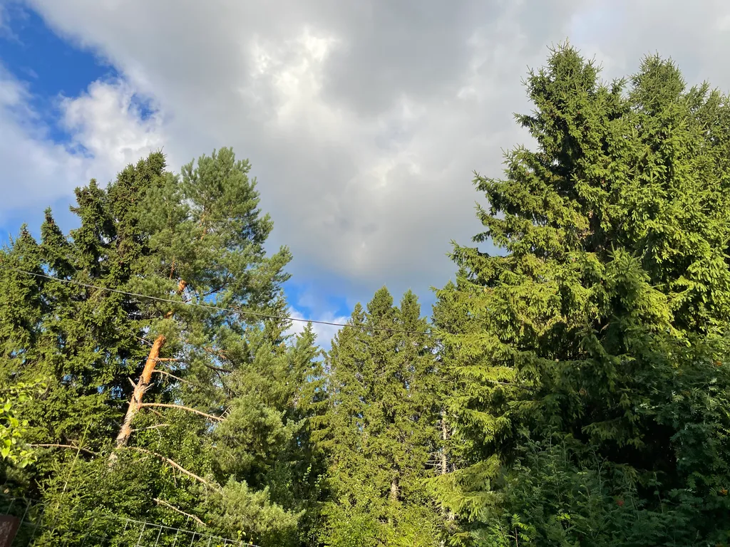 Маленький домик