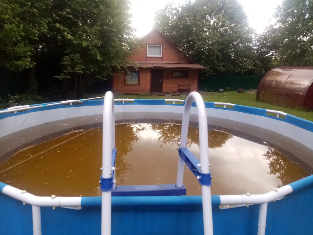 Отдых в Карелии со вкусом