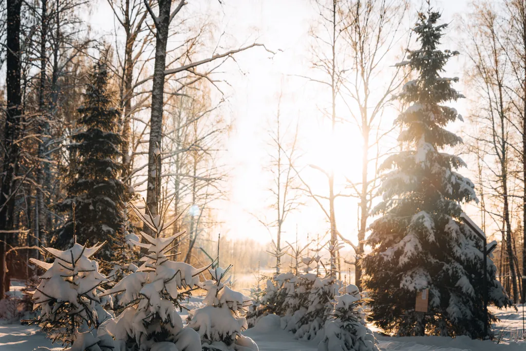 Бунгало у воды