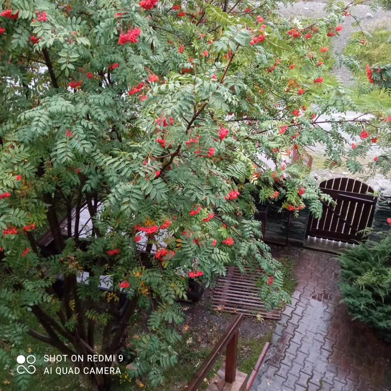 Дом с видом на реку