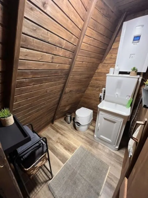 Уютные дома на берегу озера в сосновом лесу