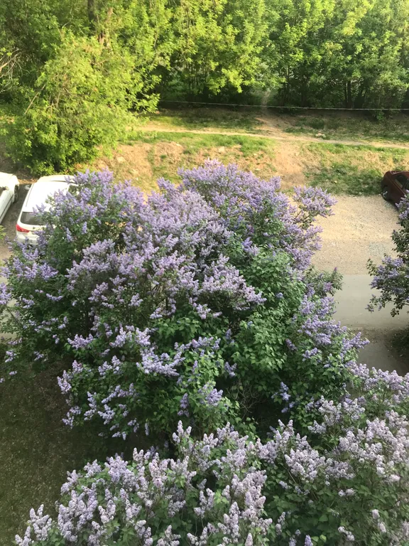Апартаменты Добрые сутки в центре