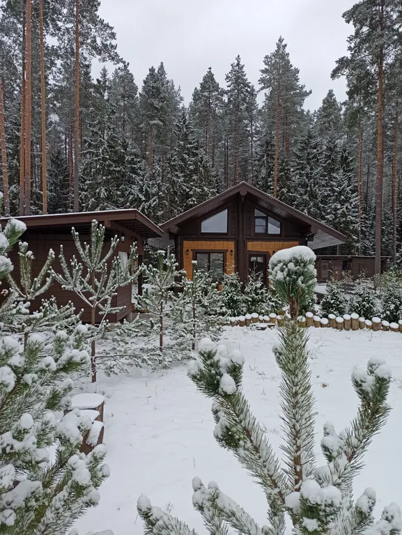 Коттедж Коттедж 70м на краю леса — Агалатово