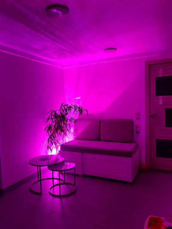 Квартира с фитосауной в частном доме