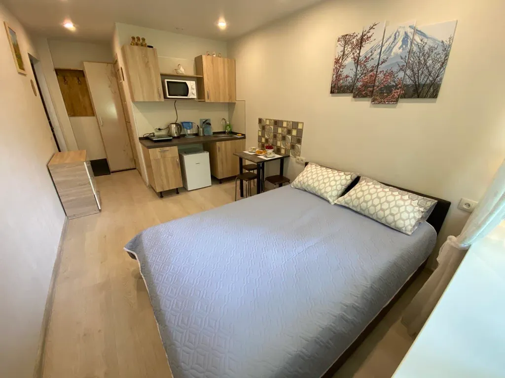 Квартира Квартира Мини-студия Гармония — Пушкин