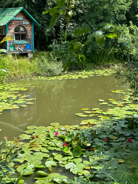 6-комнатный Дом