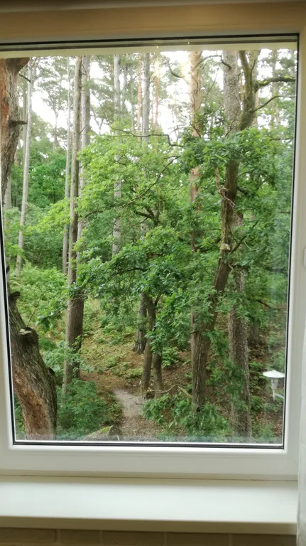 Студия в Сосновом бору