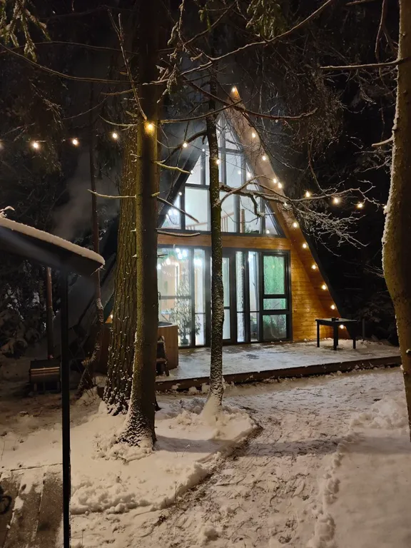 Большой уютный дом в лесу