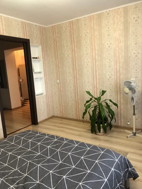 2-комнатная студия