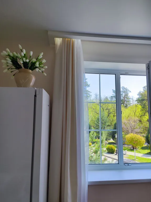 Квартира с камином у леса