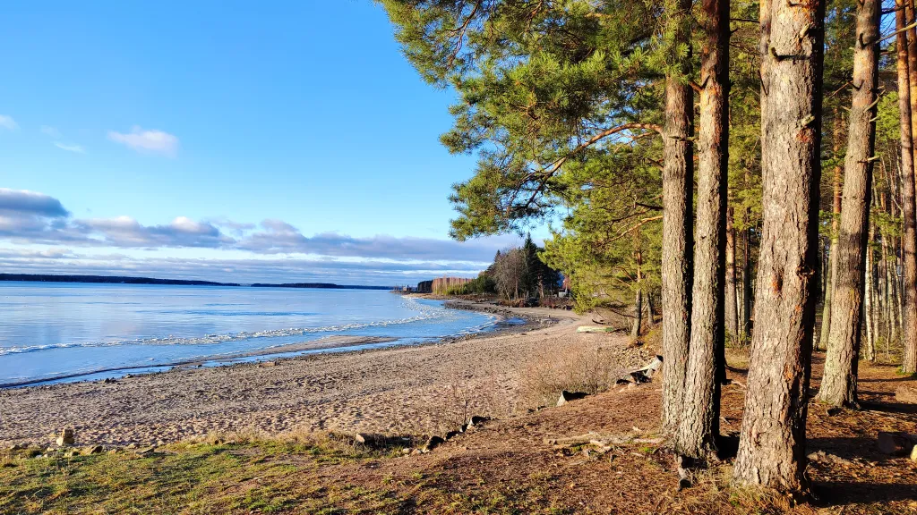 Коттедж Коттедж Амфрейм 6 местный у озера с баней, чаном и детской площадкой с батутом — Ланино