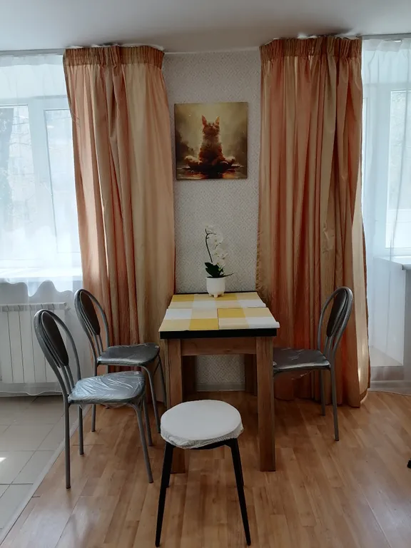 Уютная студия,  центр города