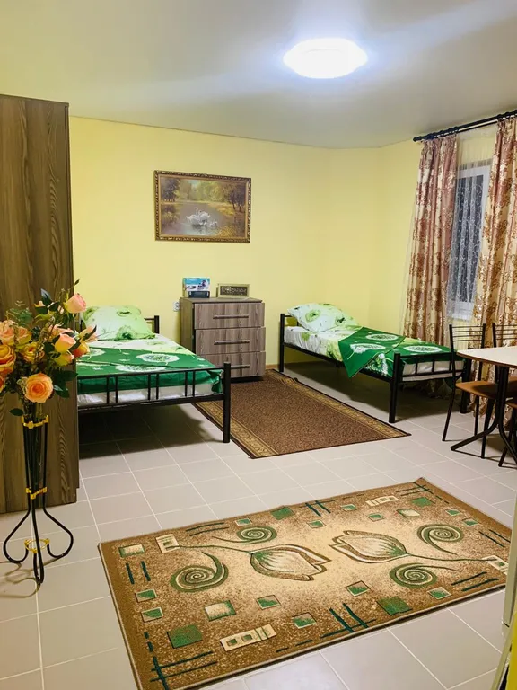 Уютная студия с кухней