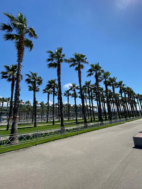 Квартира Квартира Студия Сочи Парк — Сириус