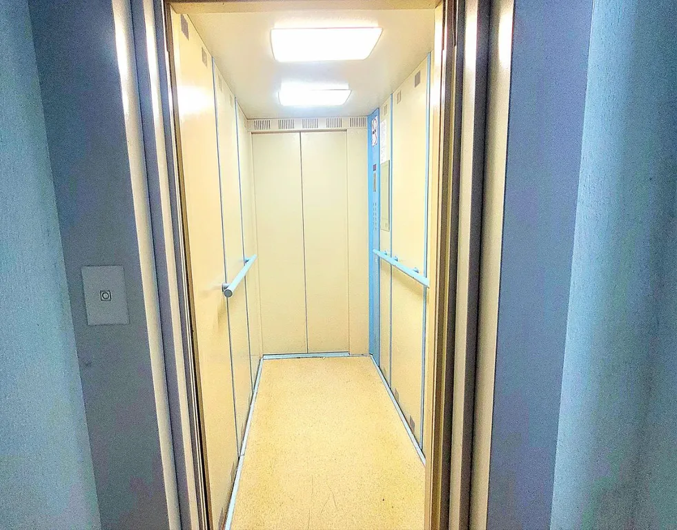 Ласточкино Гнездо