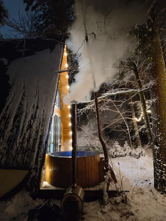 Большой уютный дом в лесу