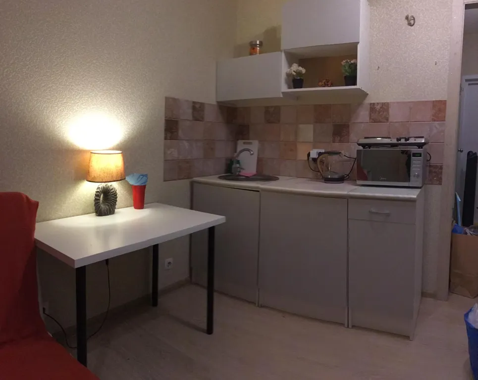 Уютная студия рядом с Мегой