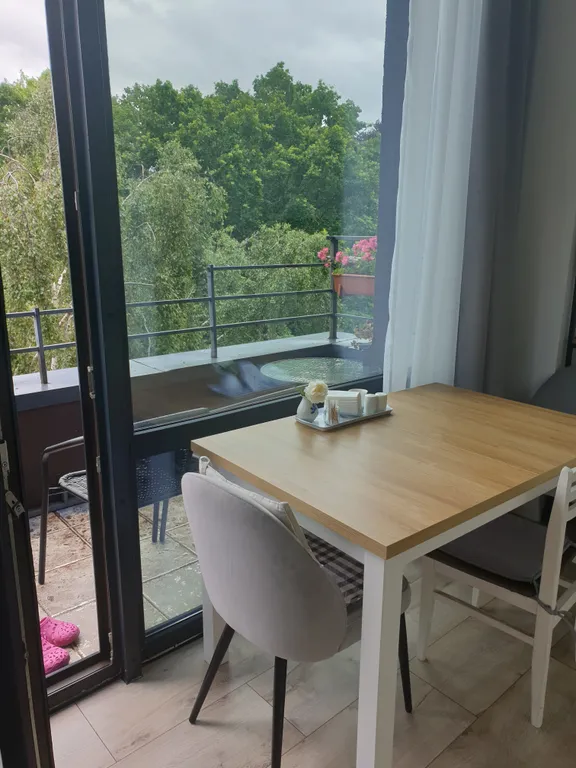 Квартира Солнечная квартира у моря. — Светлогорск