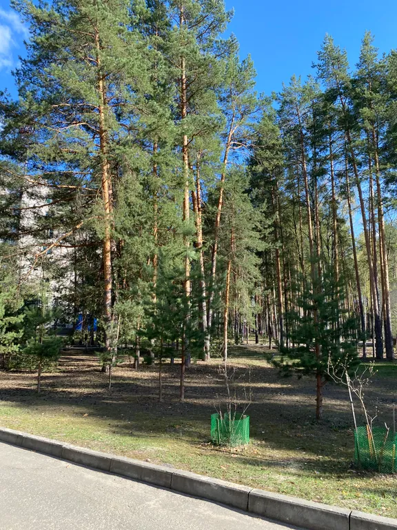 Прекрасная квартира в центре соснового бора