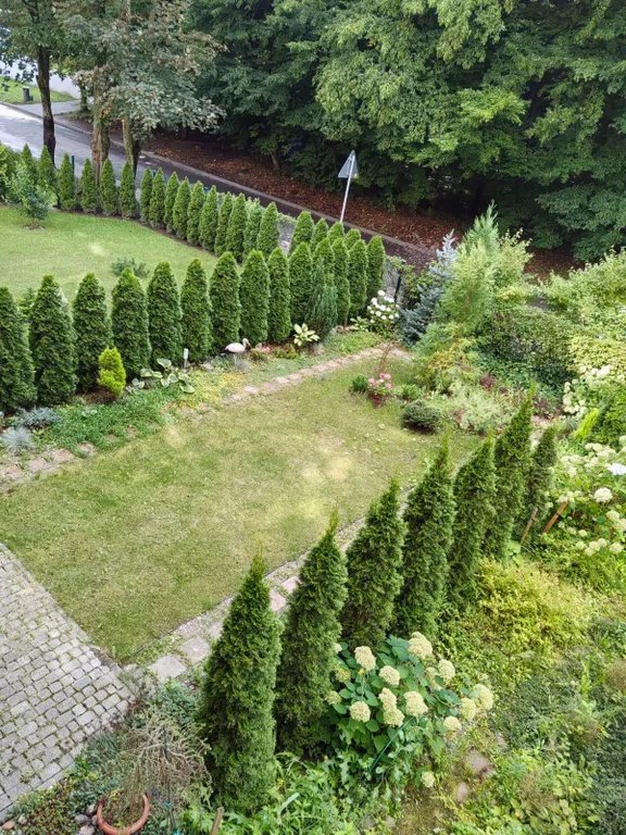 Квартира Уютная квартира с видом на парк, дистанционный заезд — Калининград