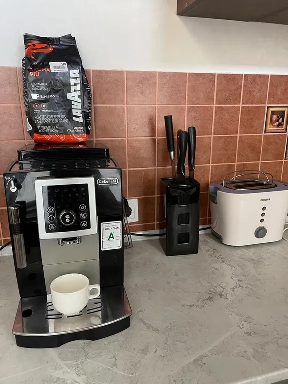 Апартамент на центральной горке