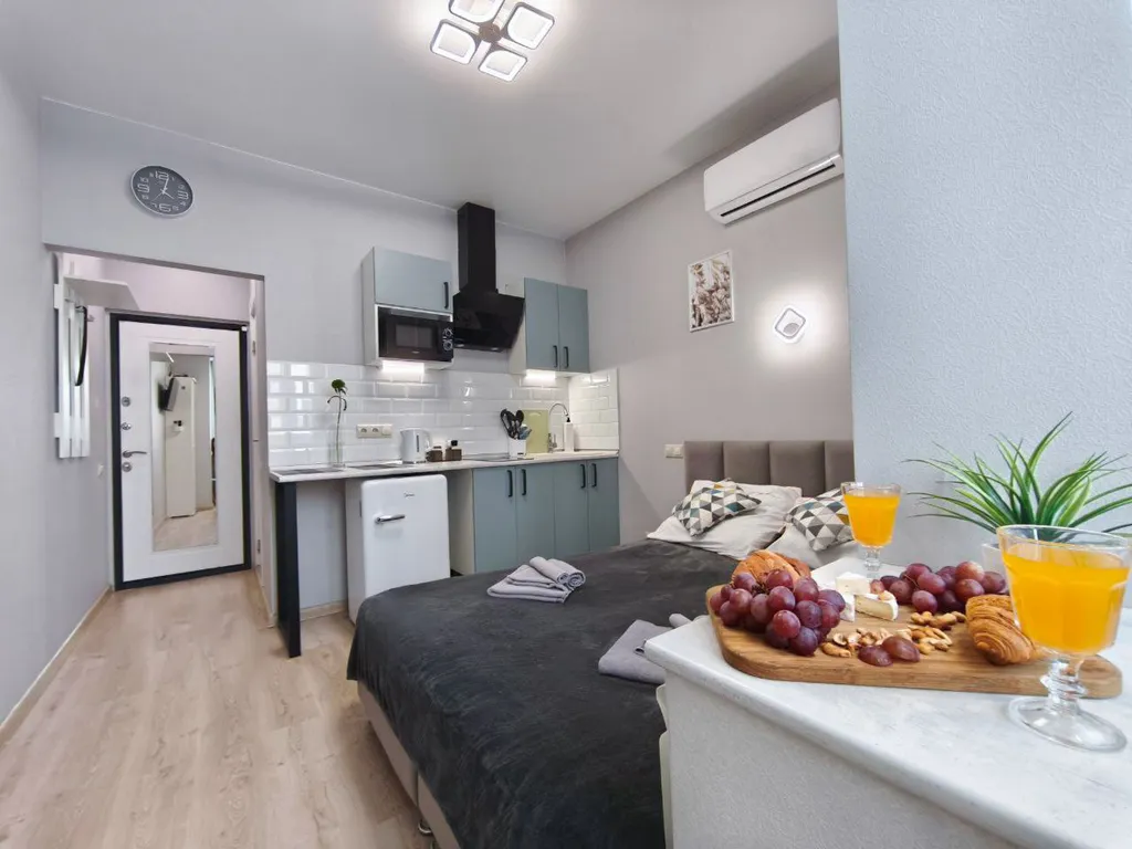 Уютные апартаменты-студия