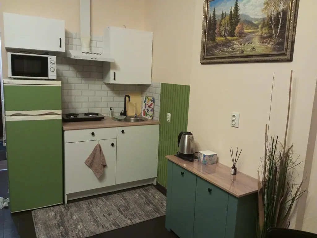 Студия в центре Выборга, Приют уставших ножек