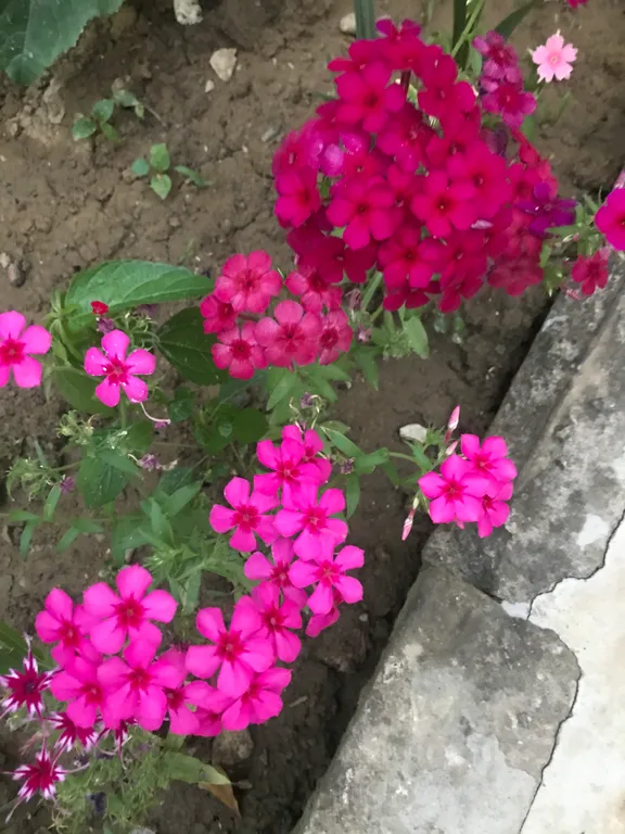 Коттедж Частный дом на Мамайке рядом с морем — Сочи