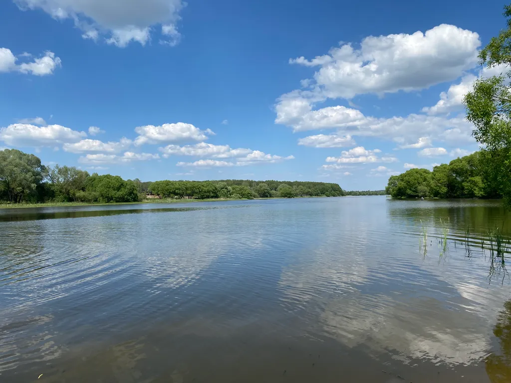 Уютный домик для семьи или компании друзей с банькой и xbox