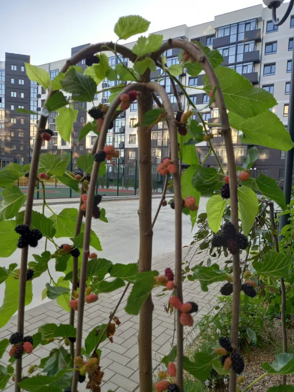 Квартира Прекрасная квартира-студия для комфортного проживания, отдыха — Темрюк