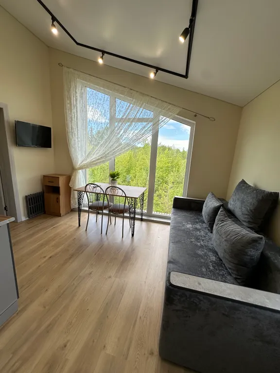 Квартира Апартаменты с видом на лес в 10 метрах от озера Банное — аренда посуточно в Зелёная Поляна