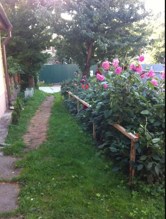 Квартира Апартаменты Fritz Grosse — Светлогорск