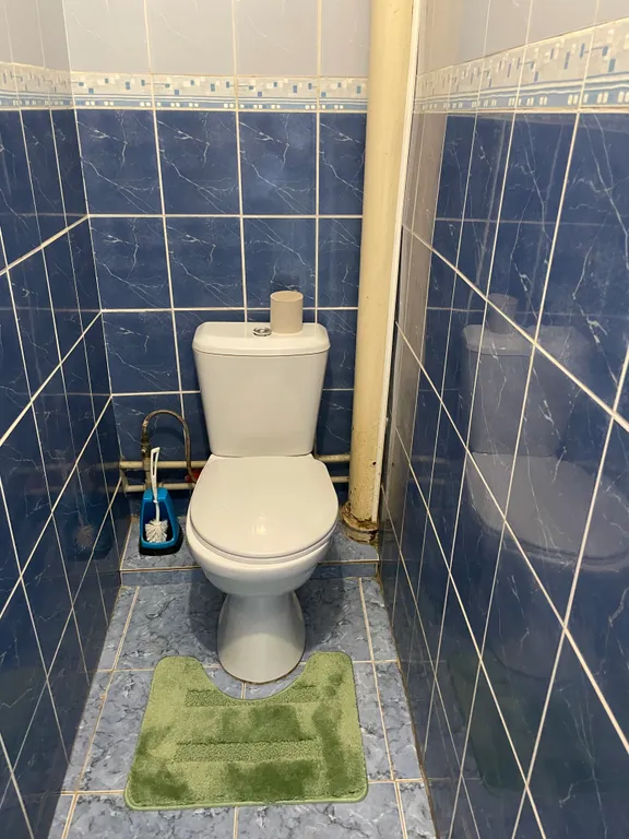 Потрясающий вид на горы и реку