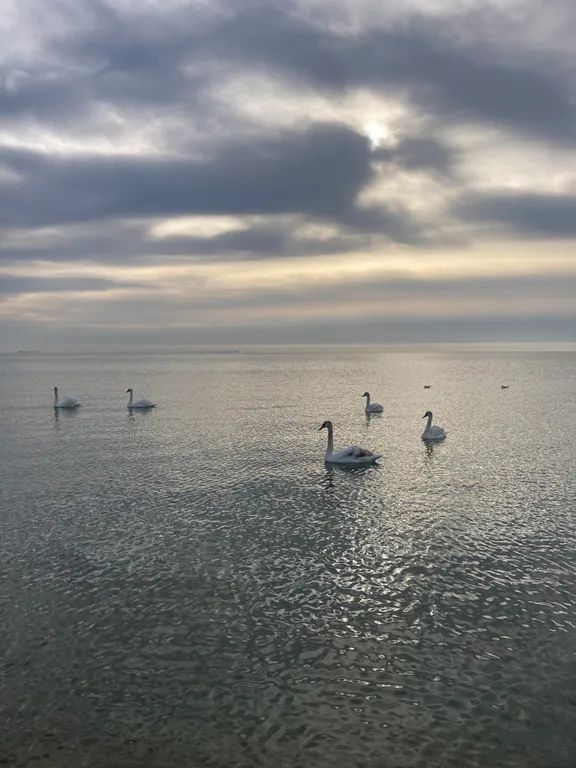 Квартира 2 комнатная квартира с двориком на Пушкина — Евпатория