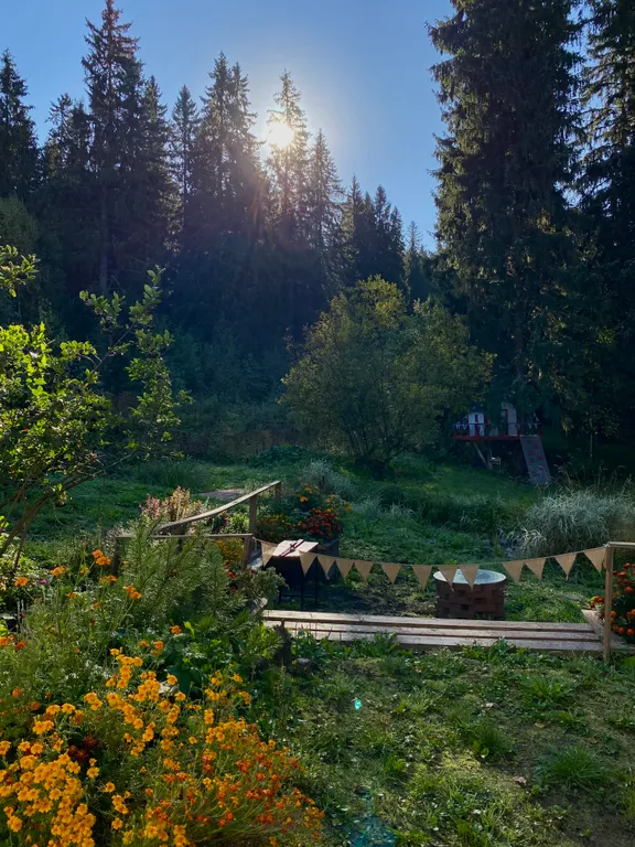 Уютная лесная дача в экологически чистом месте северного приладожья