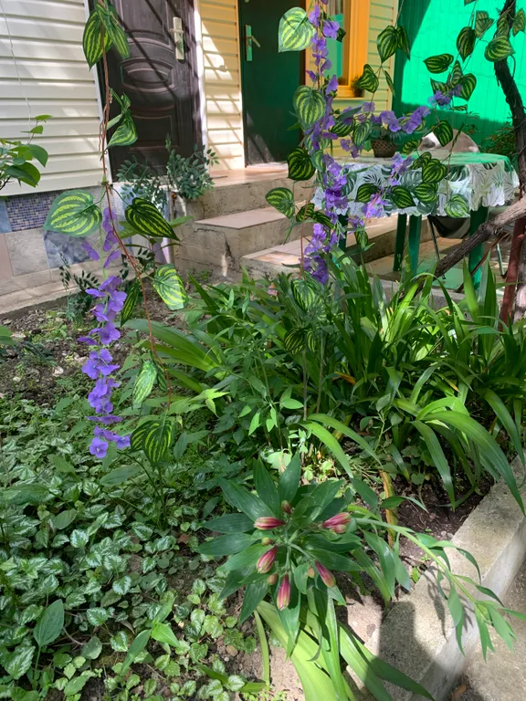 Квартира 1-комнатная Квартира — Сочи