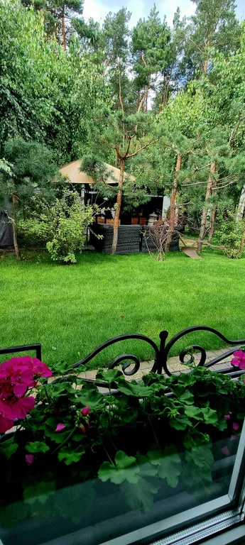 Brest dream garden. Атмосферный гестхаус с шикарным видом на лес