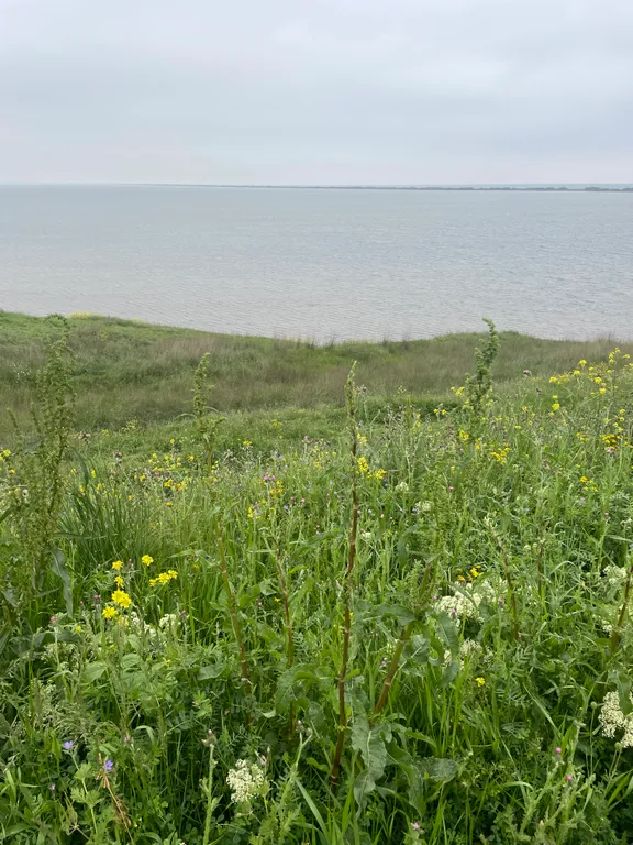 Апартамент на берегу моря