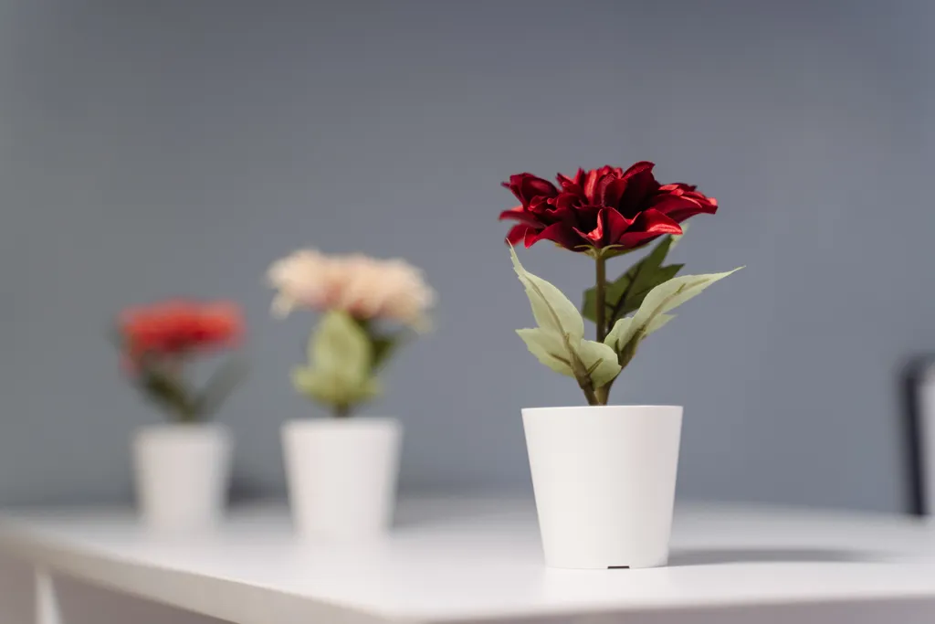 Новая студия в центре