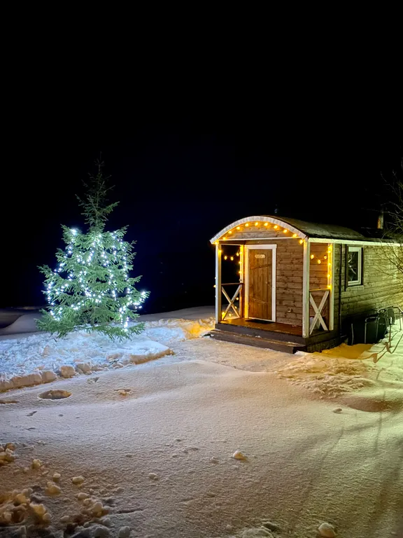 Онежская Горка коттедж 3