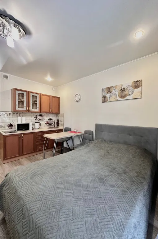 Уютная студия 5 минут от ЖД вокзала.Работаем с Юр/лицами.