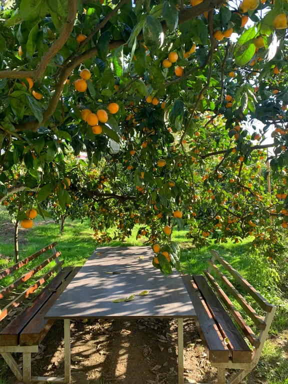 Домик 1-комнатный 3-местный