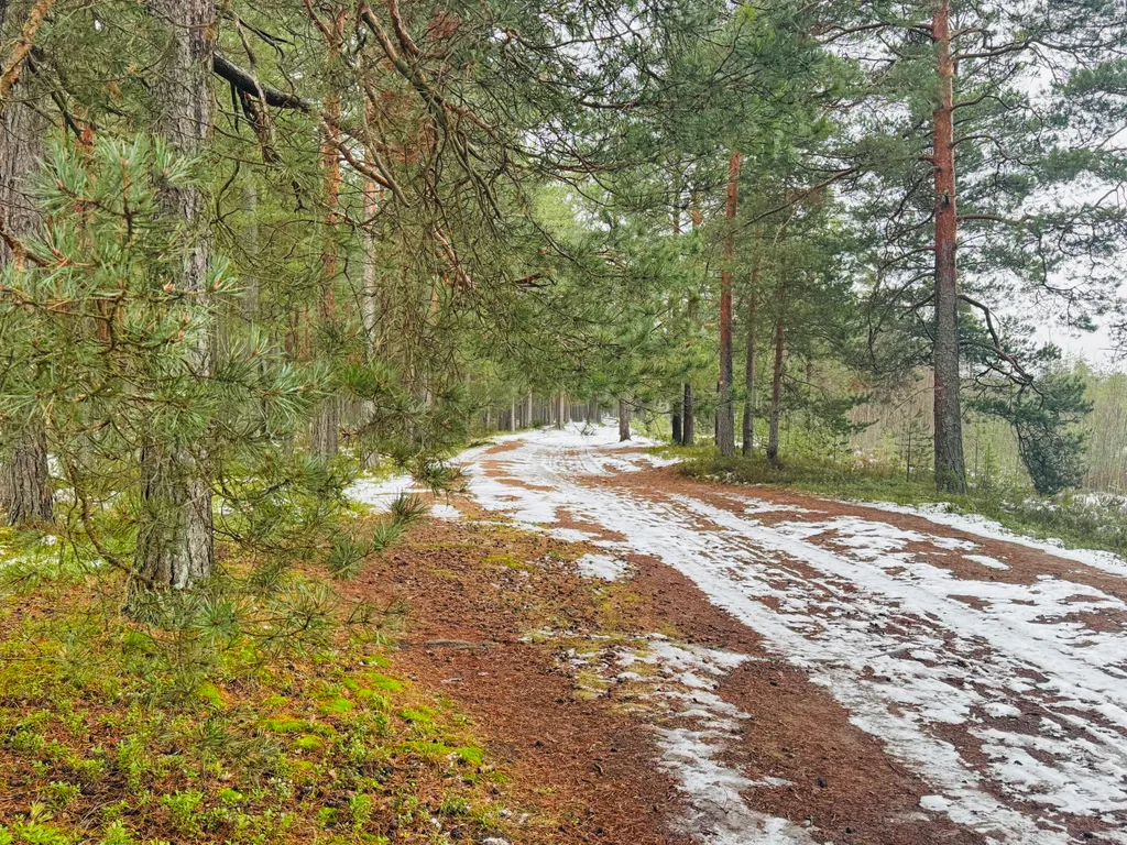 Коттедж Ладога Life — Коккорево