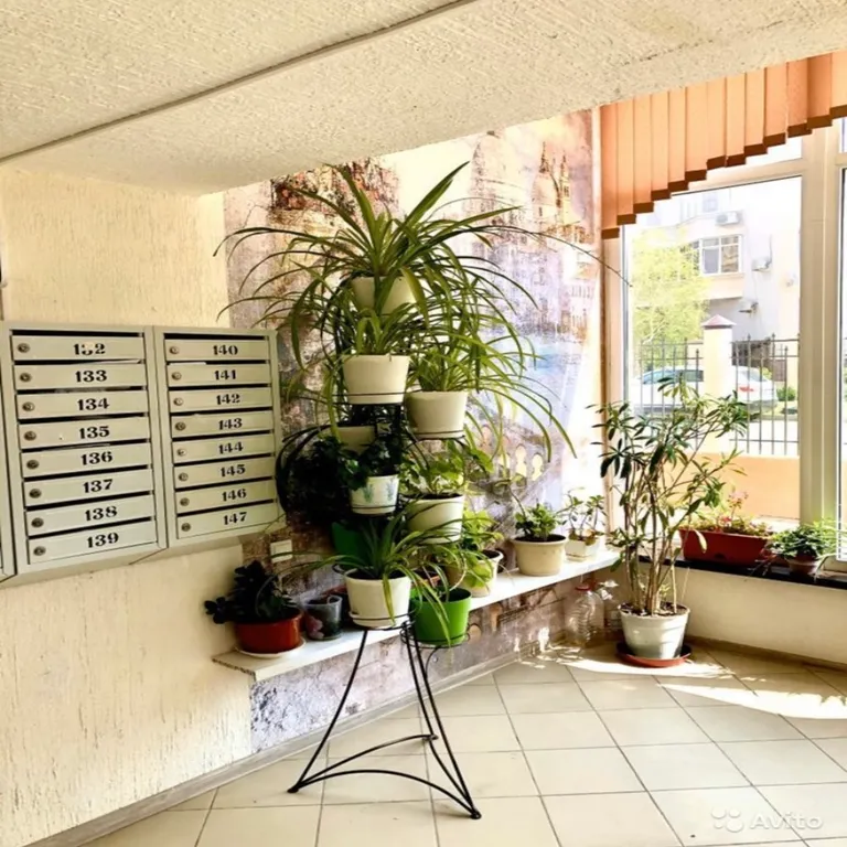 Уютная студия у моря Б