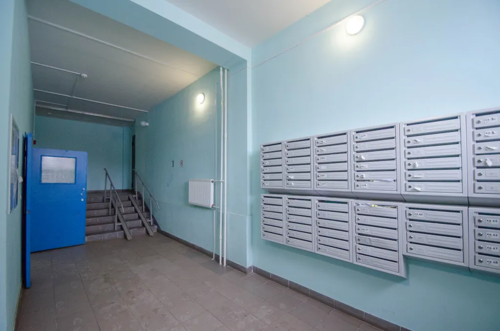 Студия в Берёзовой роще