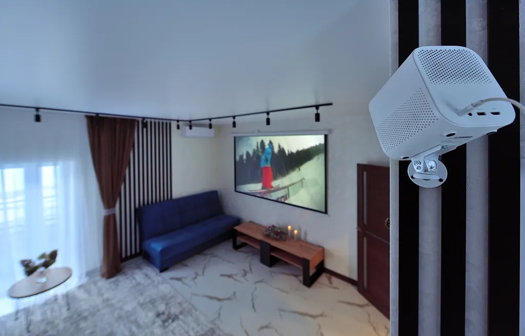 Большой дом