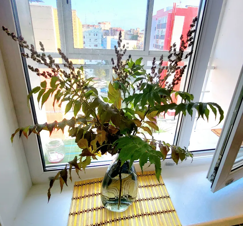 Квартира в центре в ЖК Токио - премиум класса