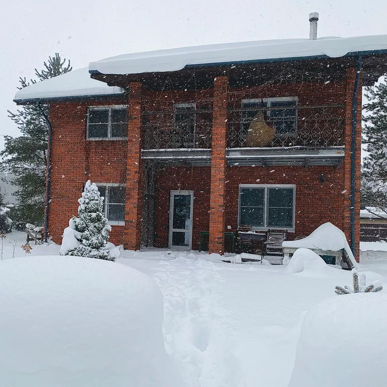 Коттедж Большой дом в лесу — Запорожское